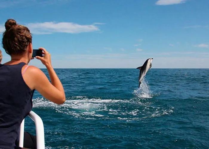 Vale Lunga Apartment